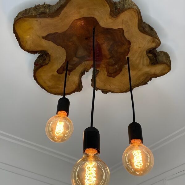 Wall Ceiling Lamp - WCL01